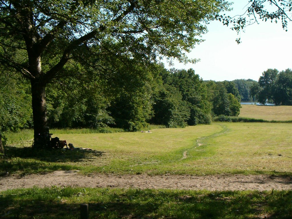 Heuvel in het Amsterdamse Bos